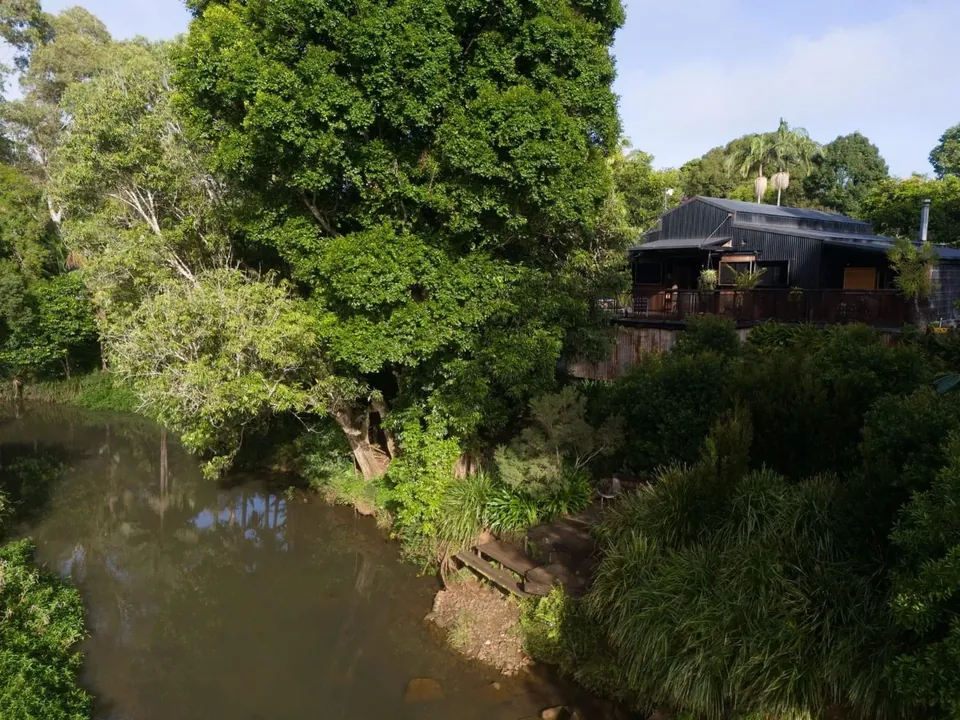 from above — the creek bending past the property
