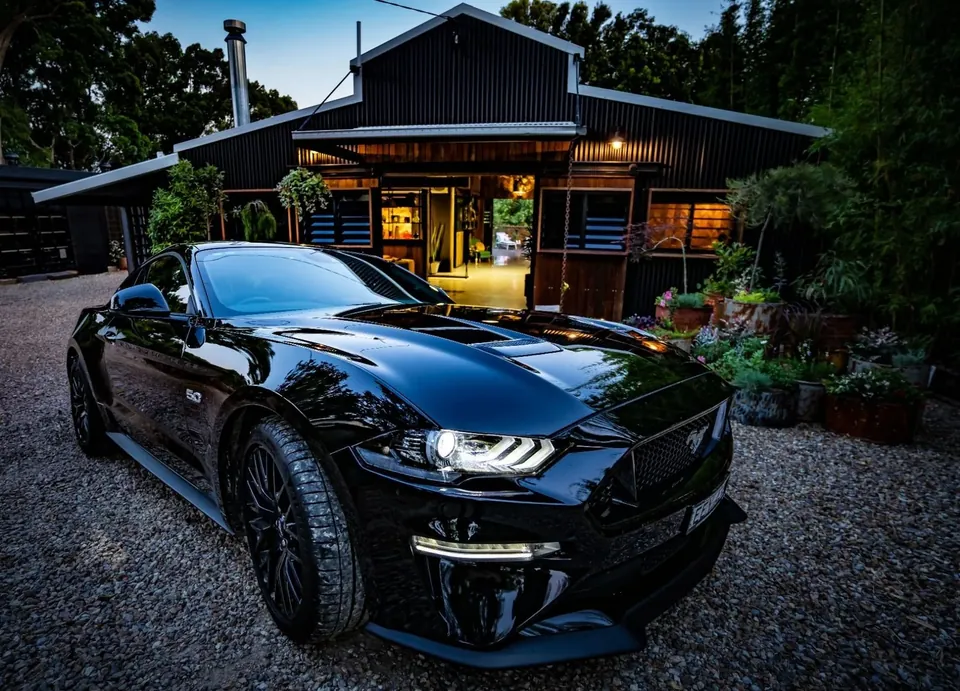 dave's mustang — my gift to him, and his last wish ❤️