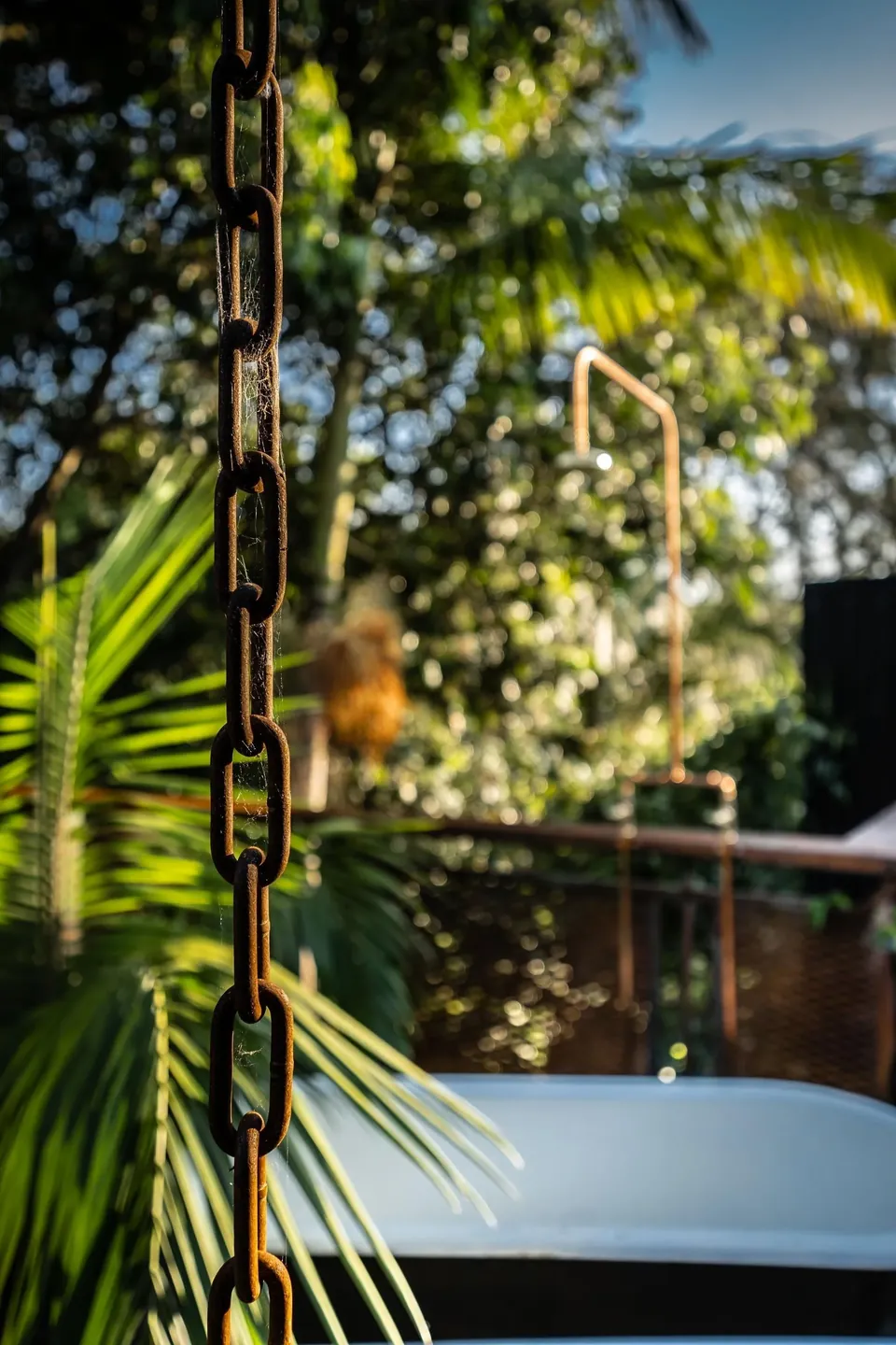 the outdoor shower, fairy lights and ferns